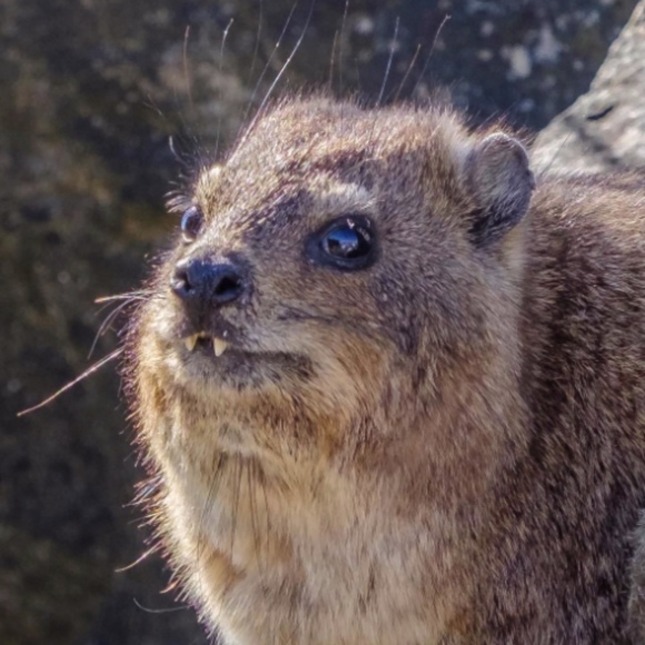 Meet your Posher, Lexington - Picture 1 of 1